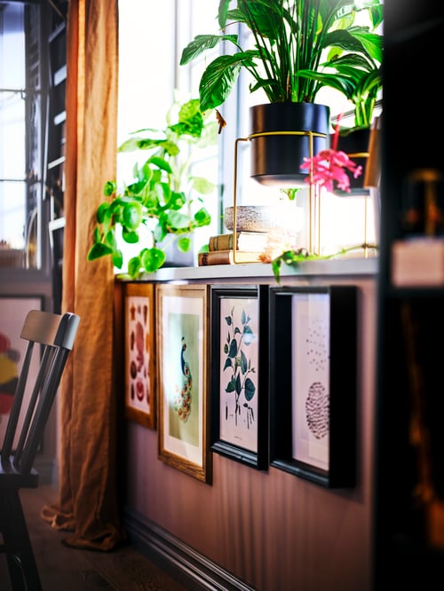 A naturally lit windowsill with potted plants above and framed art including a black stained EDSBRUK frame on the wall below.