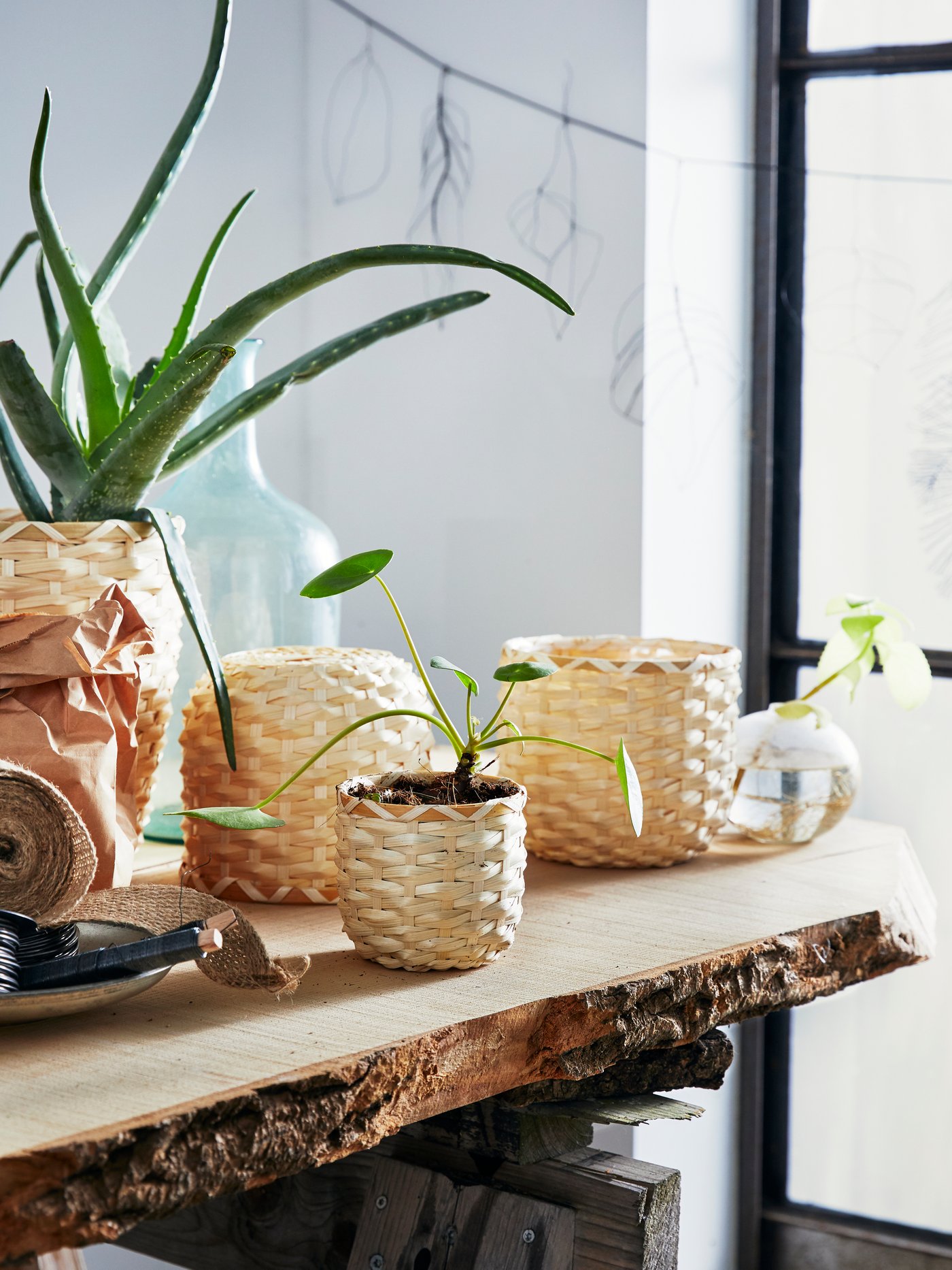 Per creare un interno boho abbiamo usato dei vasi per piante, fatti di fibra naturale intrecciata, e li abbiamo messi su una mensola ondulata. I fiori sono protesi verso il sole che entra da una finestra vicina.