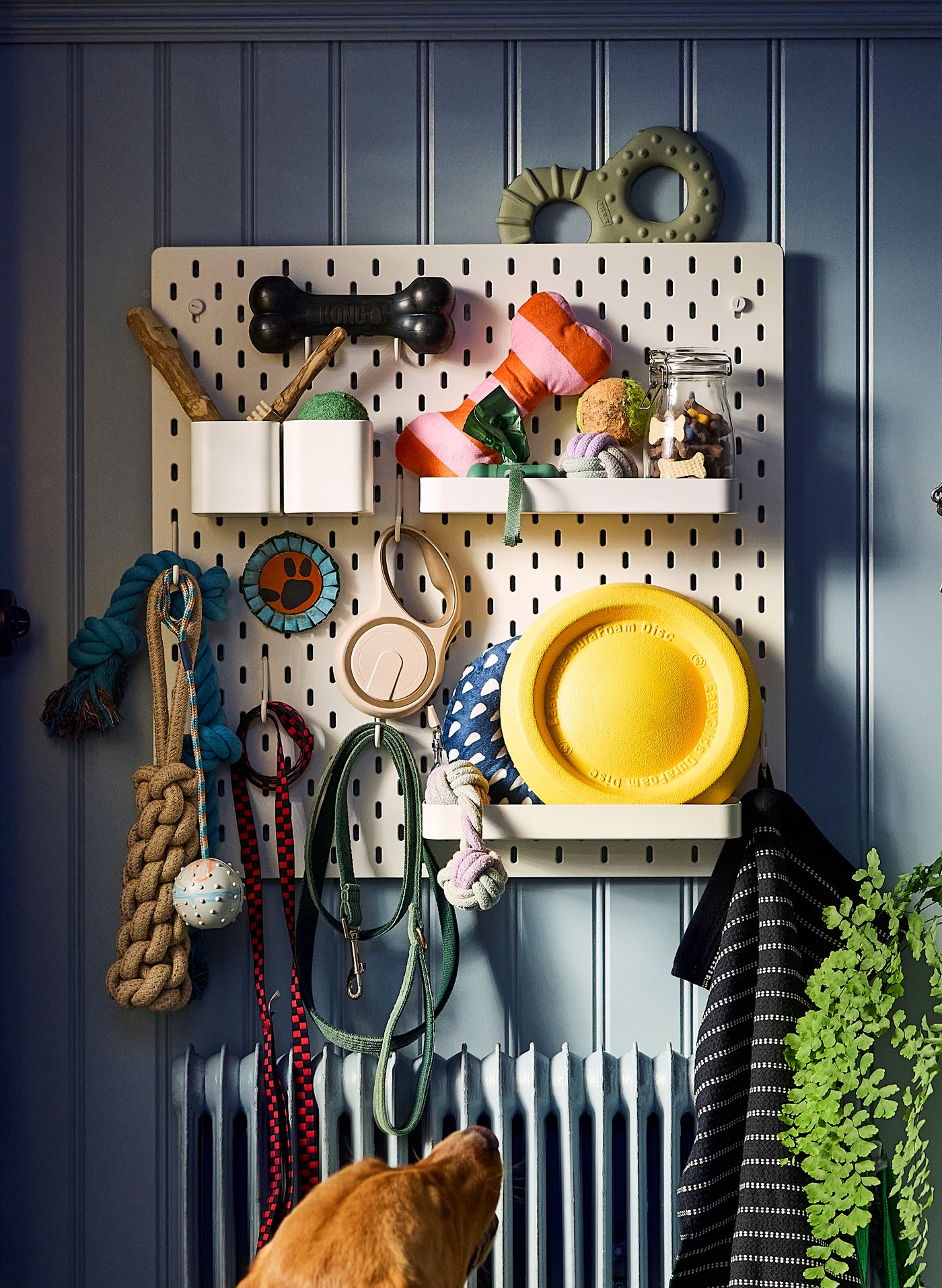 A white SKÅDIS pegboard with SKÅDIS shelves, containers and hooks organising dog toys, leashes, baggies and treats.