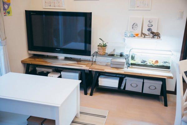 整頓されたテレビ台とテレビ前のスペース