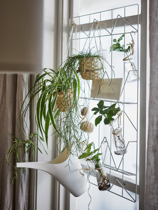 A window with a white KVICKSUND memo board attached. A watering can and plants in pots and glass vases hanging from it.