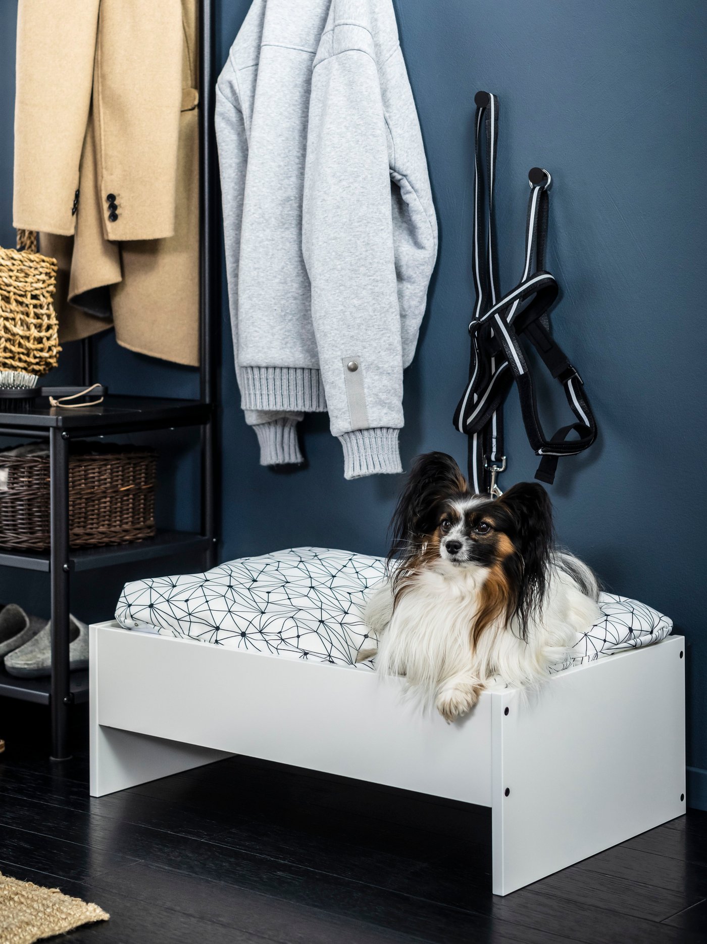 Productos para mascotas IKEA Colombia