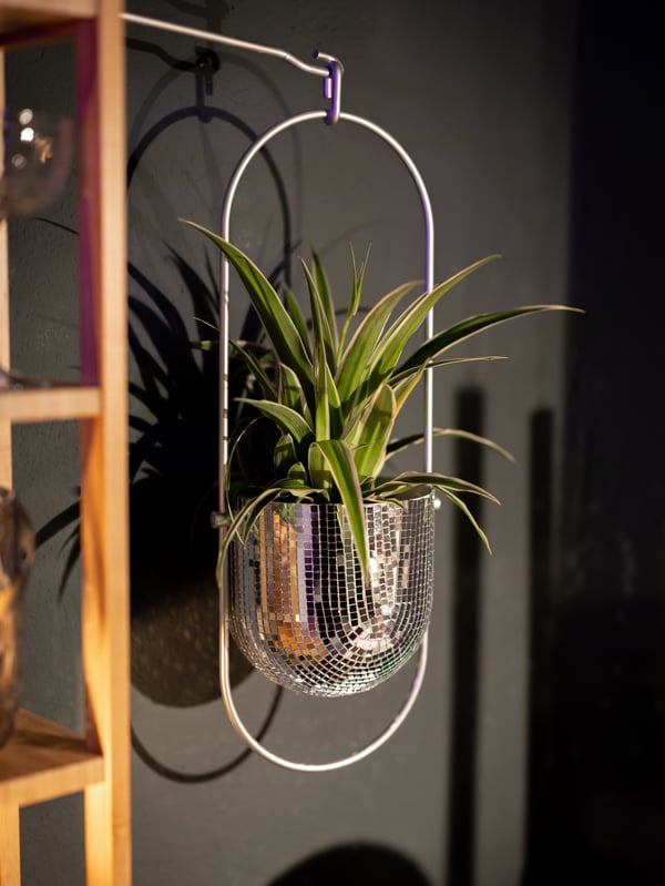 An in/outdoor white CHILISTRÅN hanging planter