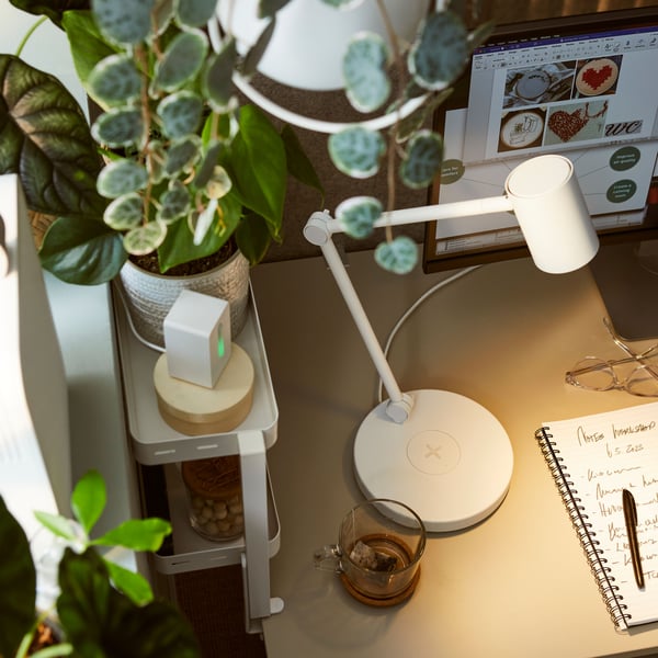 An office workspace with an IKEA 365+ clear-glass mug and a NYMÅNE work lamp on a desktop by a window full of leafy plants.