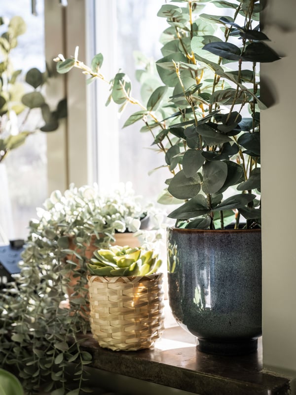 An in/outdoor eucalyptus FEJKA artificial potted plant