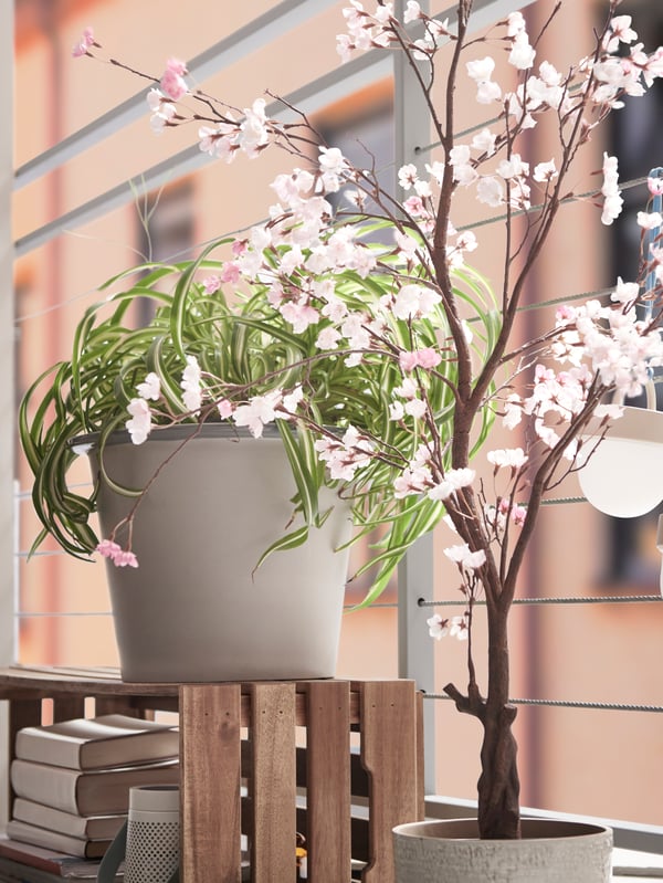 Beige plant pot sitting on wooden crate against railing. Books stacked in crate.