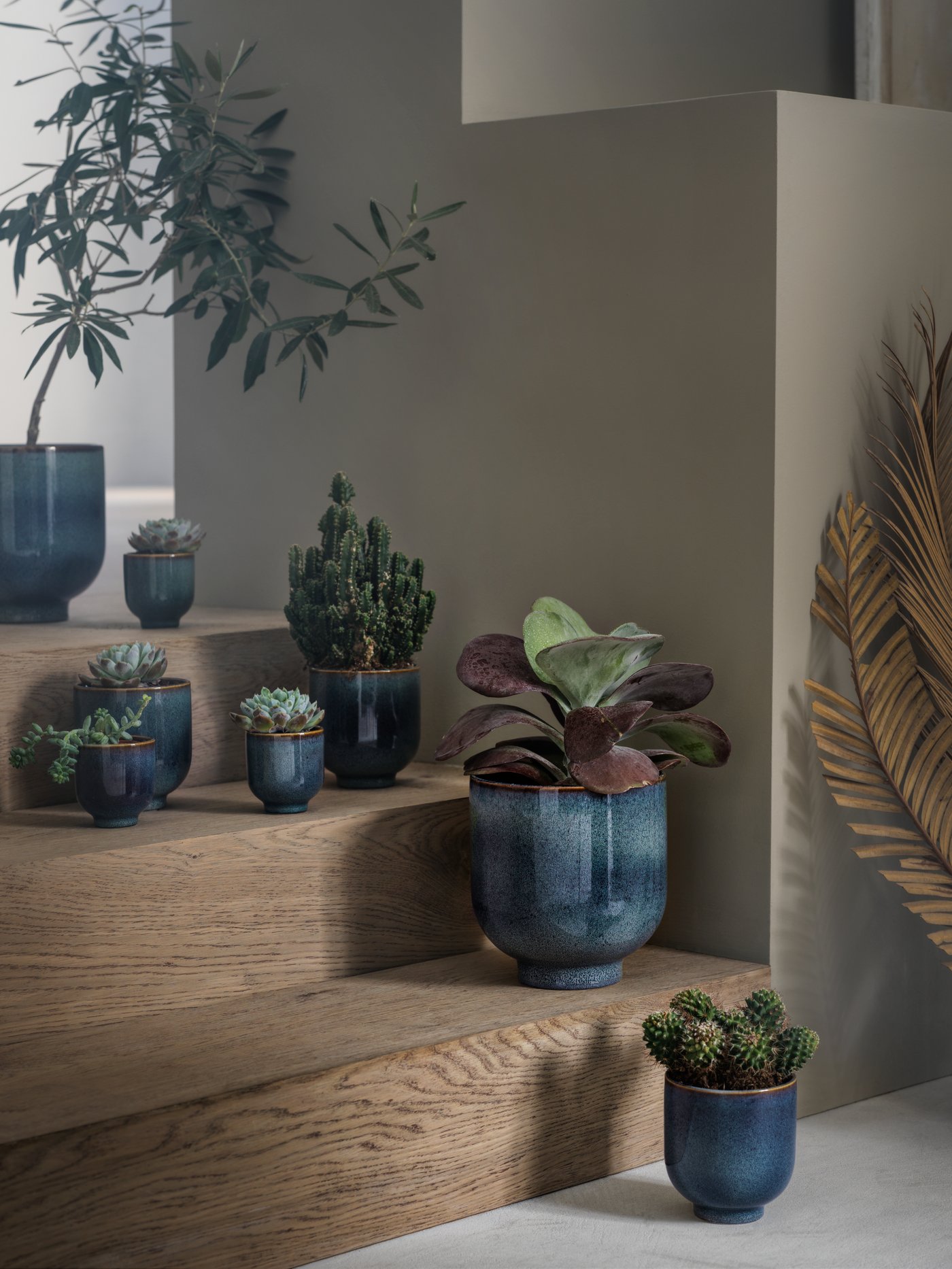 Different sized DRÖMSK plant pots featuring different plants placed on a small indoor wooden staircase.