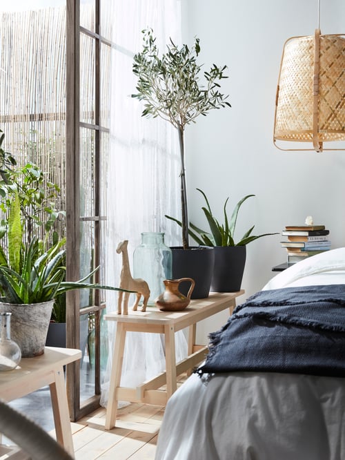Decorative vases and potted plants on a solid birch NORRÅKER bench next to a bedroom window.