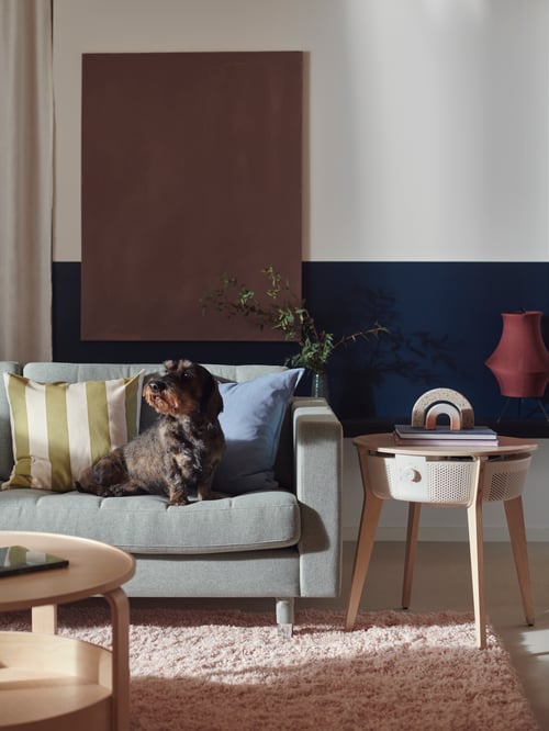 A small dog sitting on a MORABO sofa looks to its right. The STARKVIND side table with air purifier is placed beside the sofa.