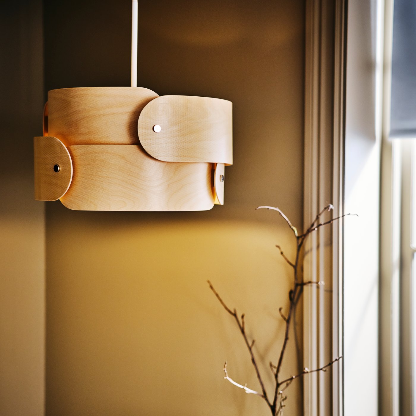 A lit SÖDÅKRA pendant lamp against a caramel-coloured wall, by a window, with branches of a plant between them.