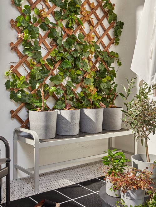 Idee per l'arredamento per il giardino - PH168411 Crop001