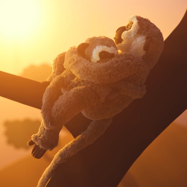A vervet monkey with baby/grey SANDLÖPARE soft toy outside