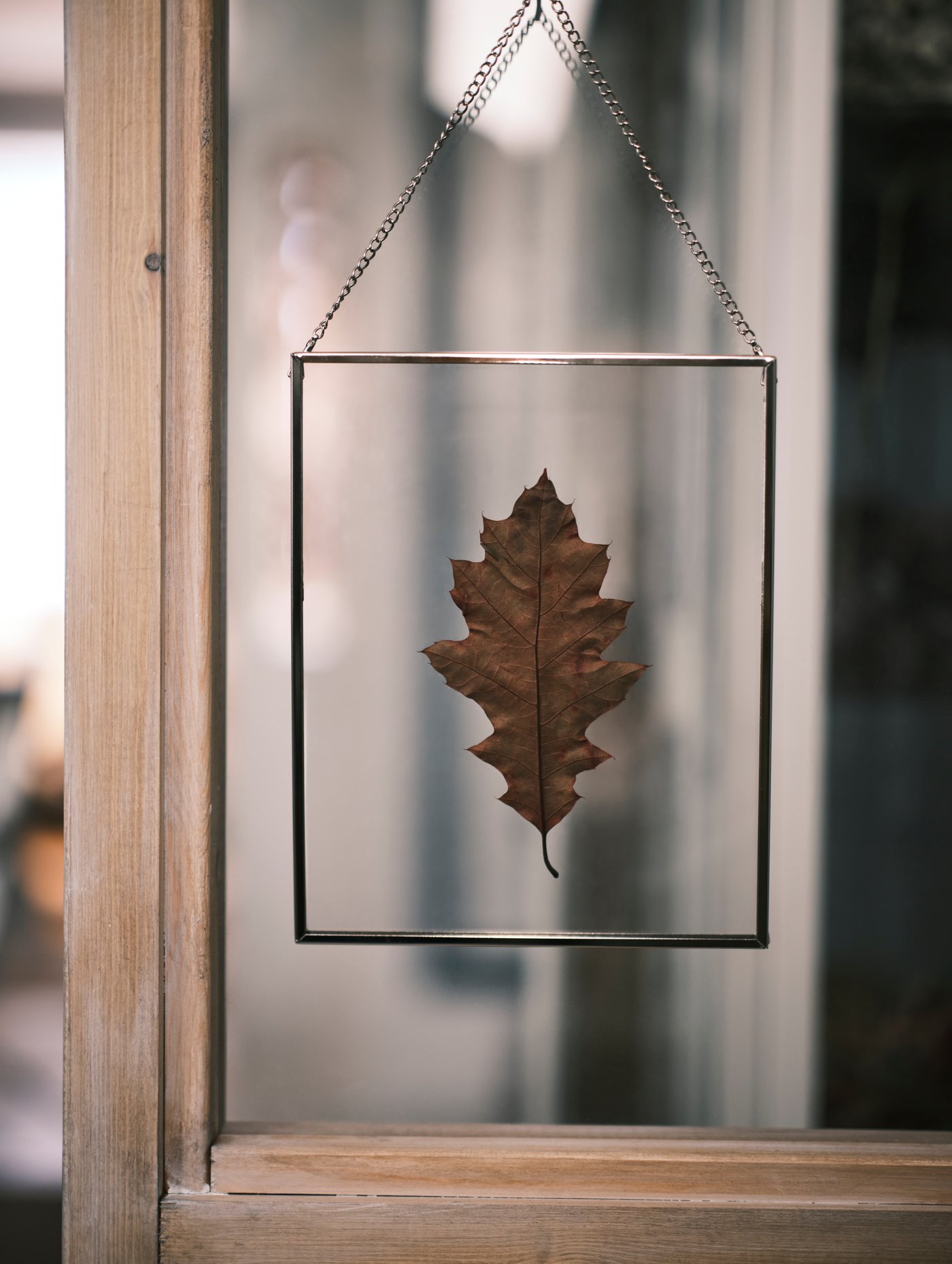 LERBODA frame enhanced with dried leaves as a beautiful window decoration.