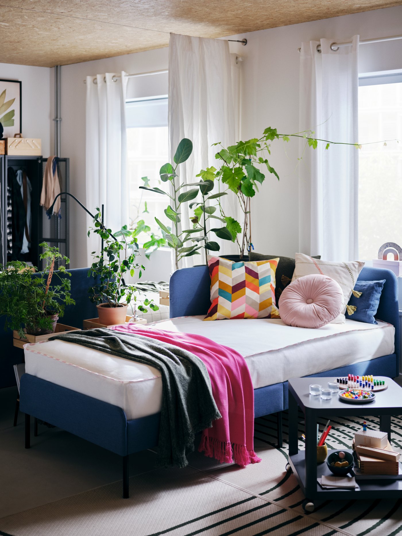 A blue BLÅKULLEN bed with various colourful cushions and throws, a grey TINGBY side table, green plants and white curtains.