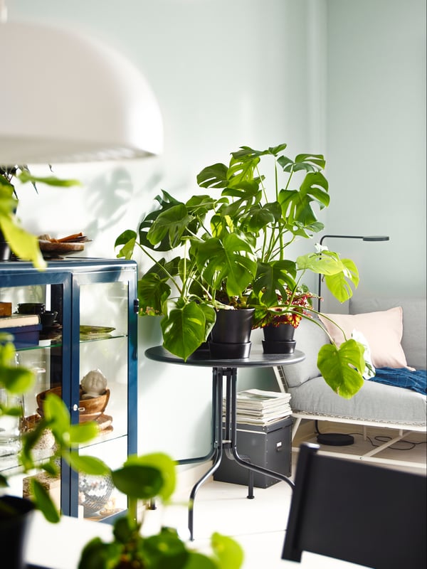 Mesa redonda de fierro LÄCKÖ negra con una maceta con una planta sobre ella.