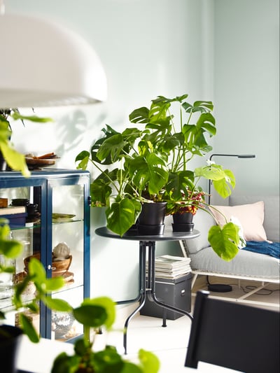 Serie LÄCKÖ - IKEA Colombia