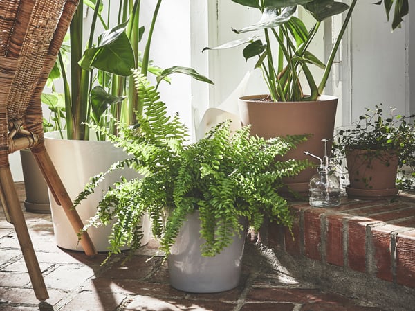 An in/outdoor brown KLARBÄR plant pot with saucer