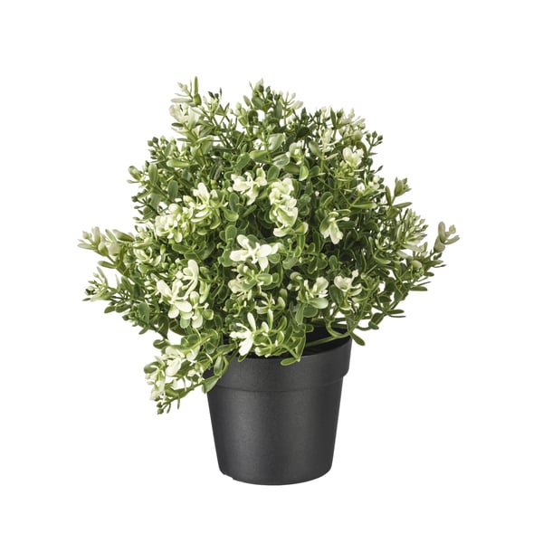 FEJKA フェイカ 人工観葉植物