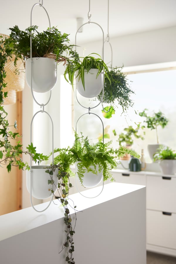 An in/outdoor white CHILISTRÅN hanging planter 