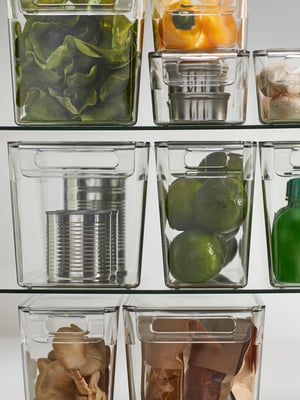 A transparent KLIPPKAKTUS storage box for fridge