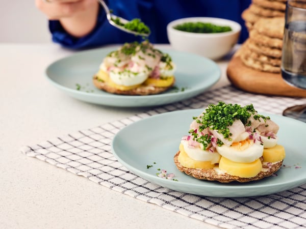 Two open sandwiches with KNÄCKEBRÖD RÅG rye crispbread, eggs, SILL DILL marinated herring, and chives on blue plates.