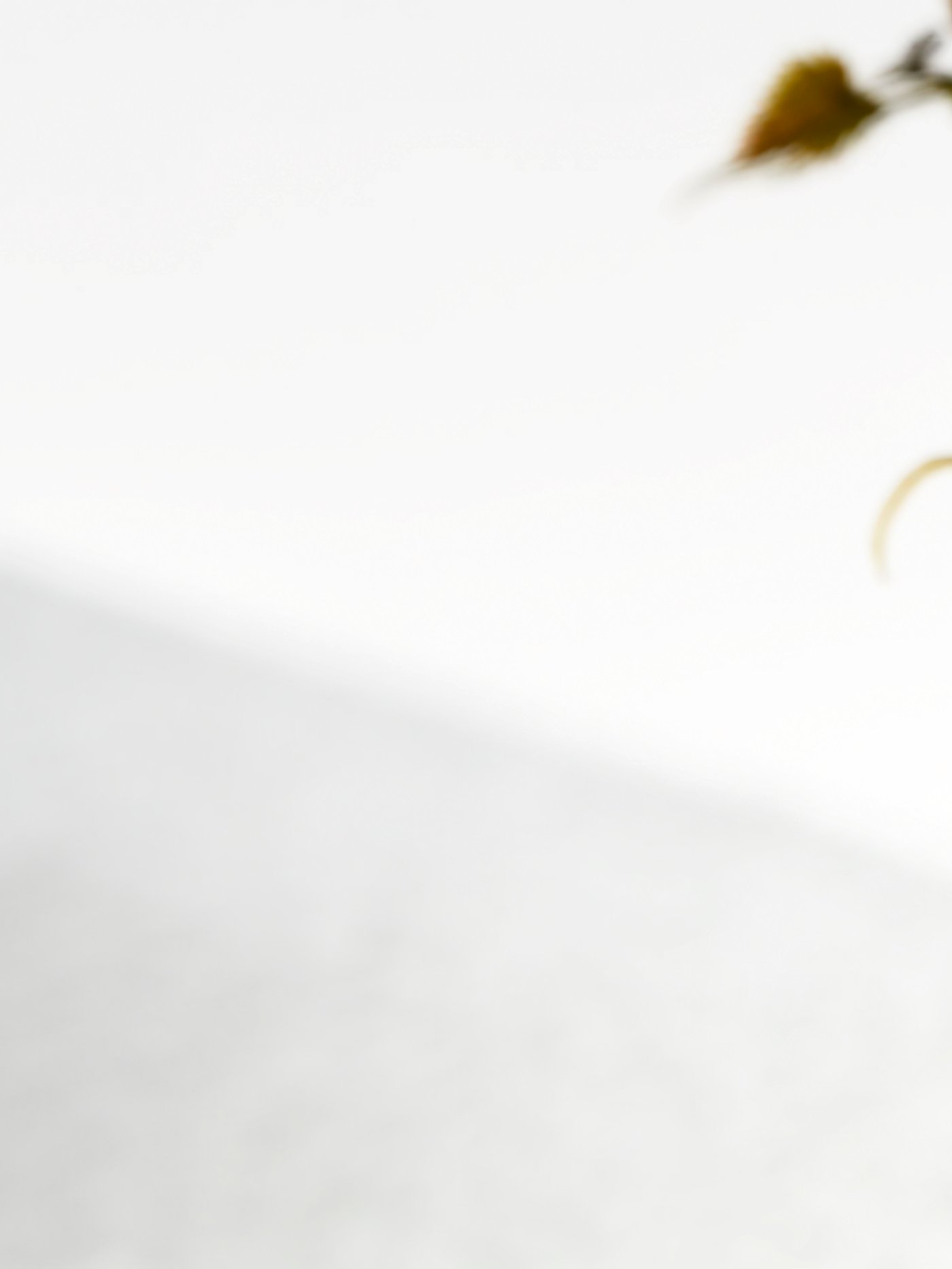 This image shows part of a leaf. A section of a larger image showing a close-up of a corner of a HYLLIS shelving unit.