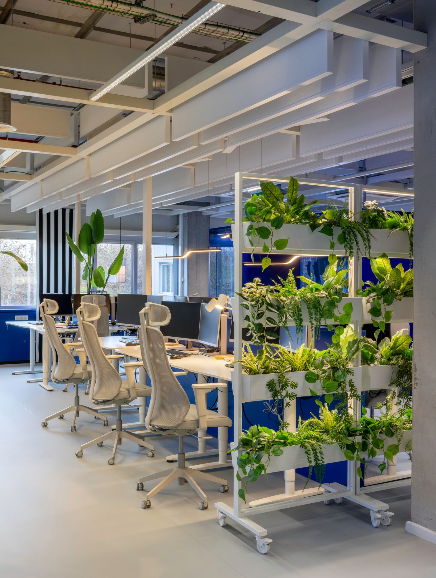 Une rangée de bureaux IKEA blancs associée à de hautes étagères remplies de plantes crée un espace de travail frais et verdoyant, à la fois ouvert, apaisant et naturellement structuré.
