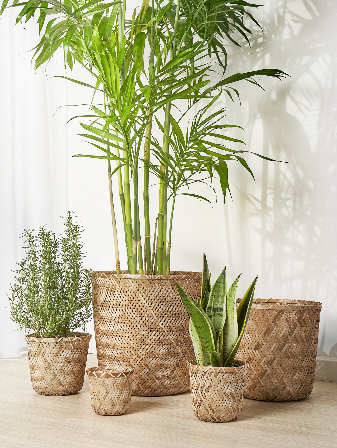 Eine Gruppe handgefertigter KLYNNON Übertöpfe steht hier vor einer weissen Wand.