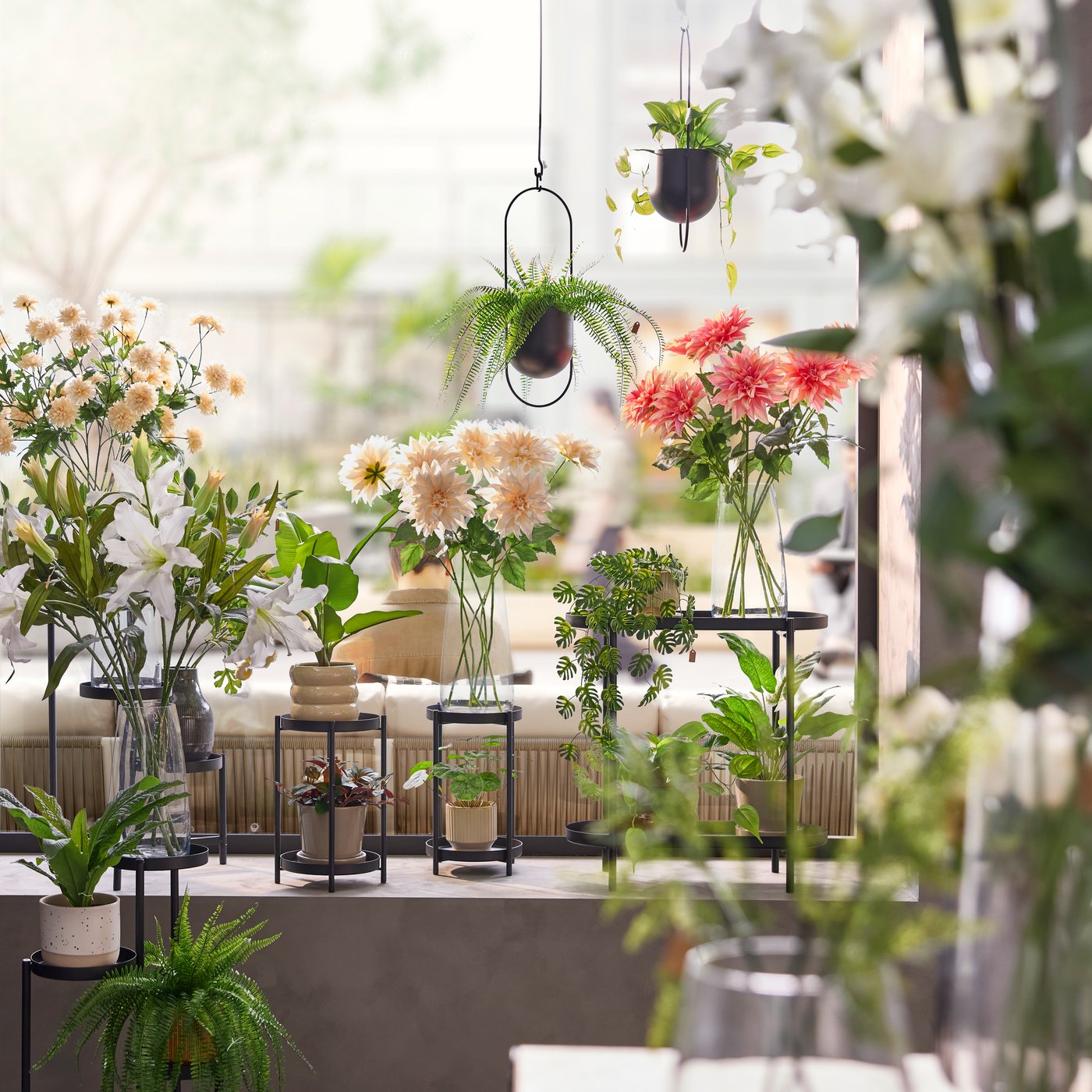 A bright room with various flowers and potted plants on black OLIVBLAD plant stands adding greenery and charm to the space.