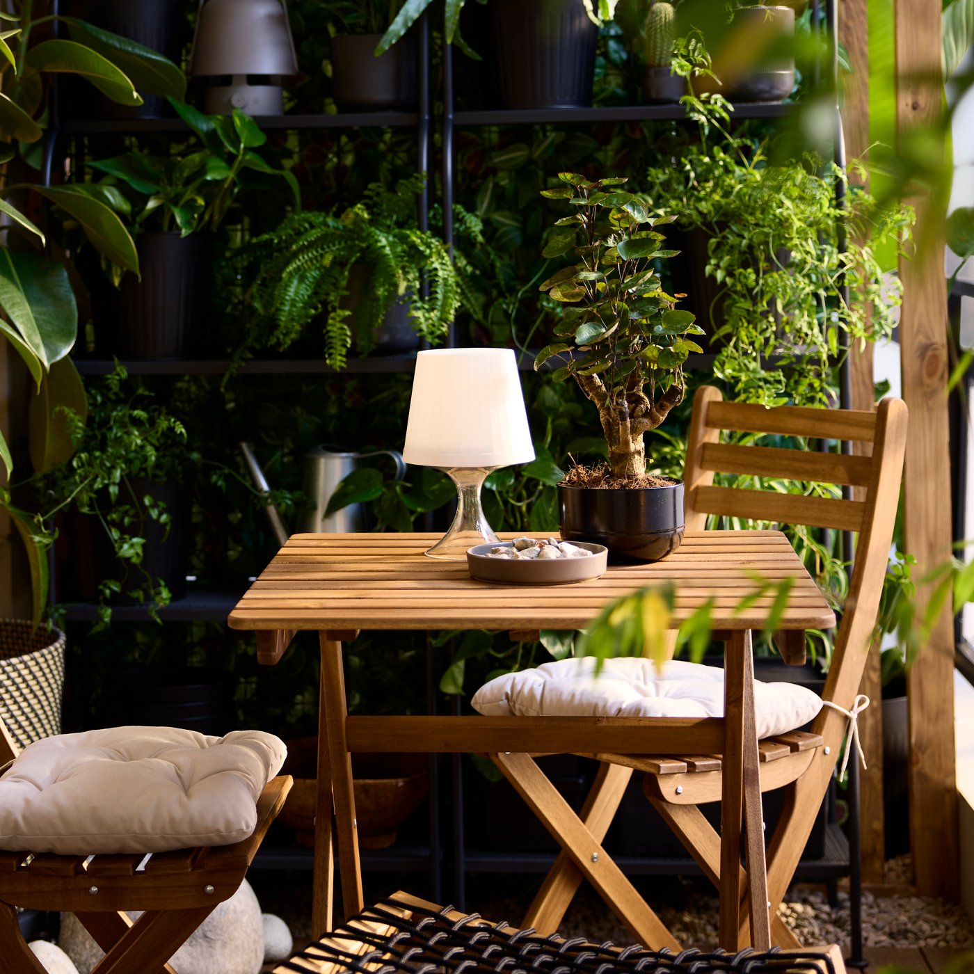 Auf einem Balkon mit Regalen und Topfpflanzen sind ein hellbraun lasierter ASKHOLMEN Klapptisch und 2 Klappstühle zu sehen.