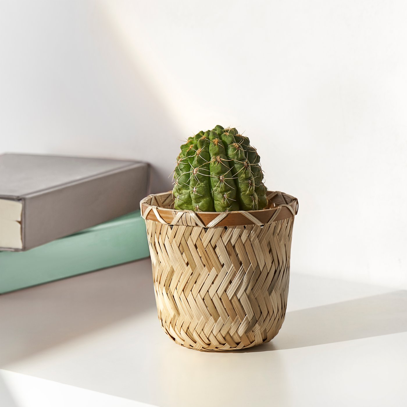 A handmade bamboo KLYNNON plant pot