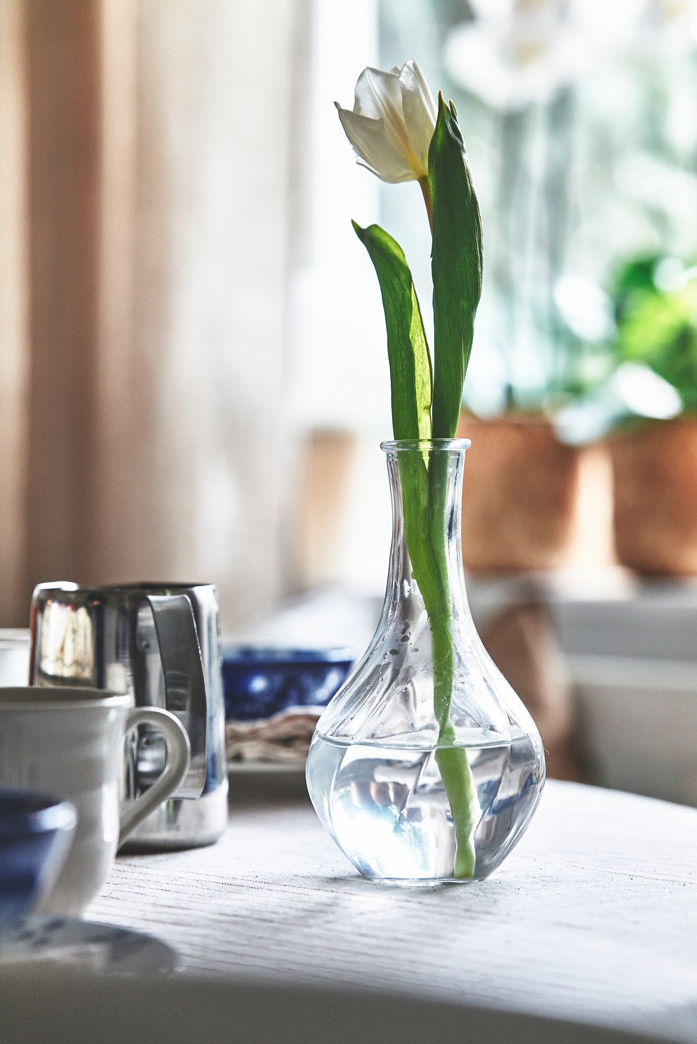 Glasvas med vatten och en vit tulpan står mitt på ett dukat bord. Runtom syns skålar, muggar och andra dukningsdetaljer i mjukt dagsljus.