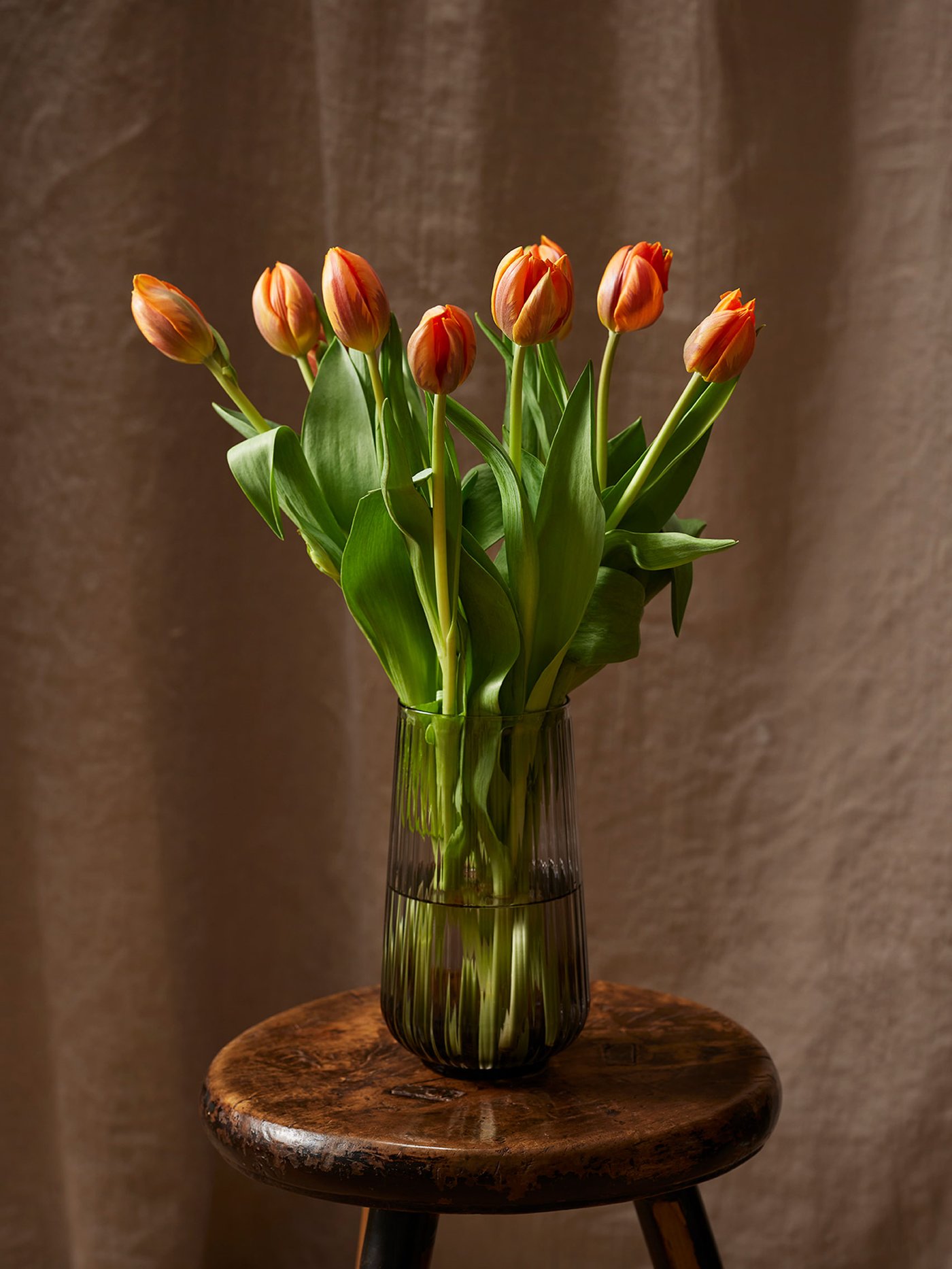 A tall green glass vase hold several tulip flowers. 