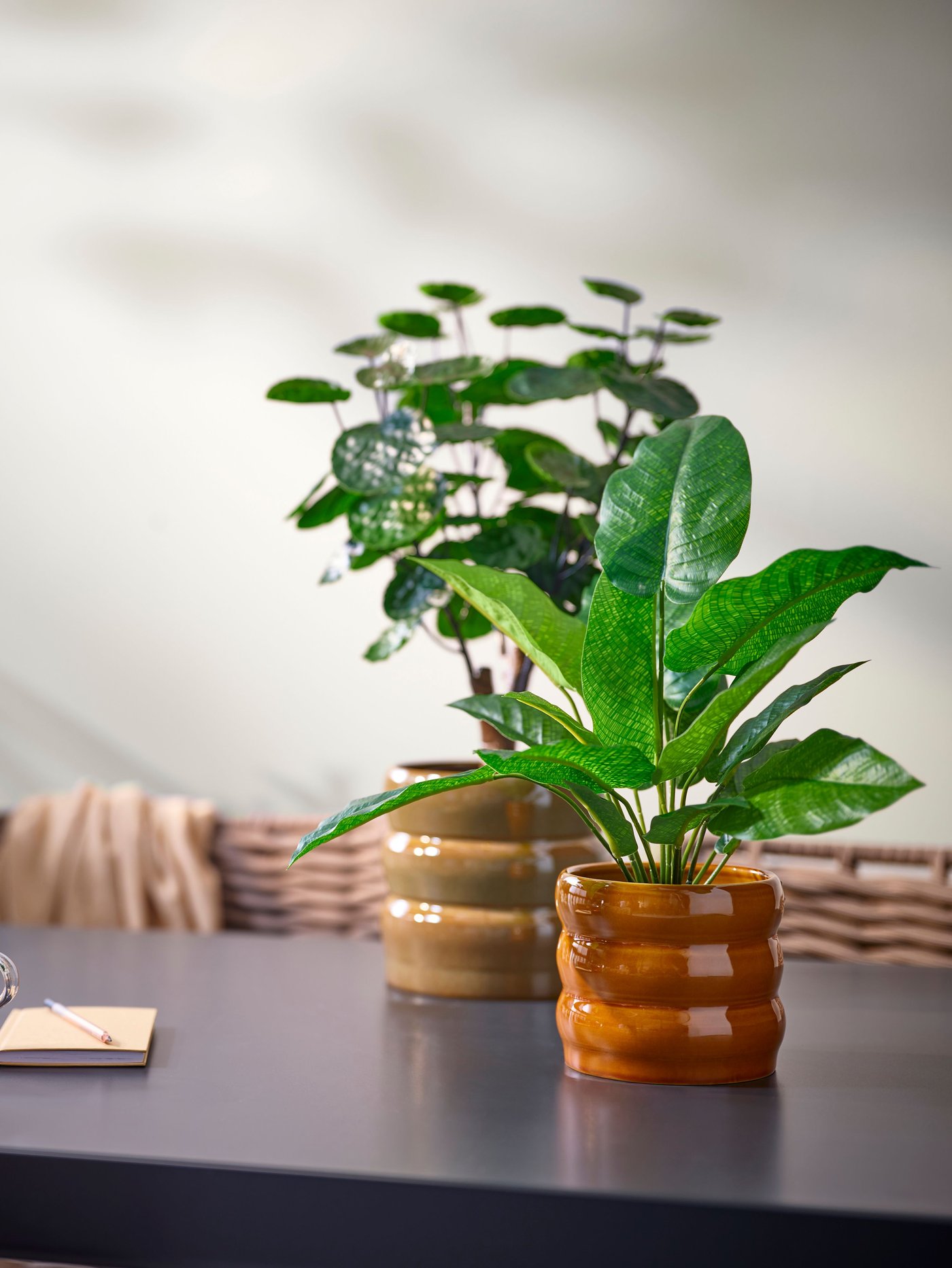 Dos maceteros de interior HASSELBUKETT con plantas pequeñas sobre una mesa de centro.