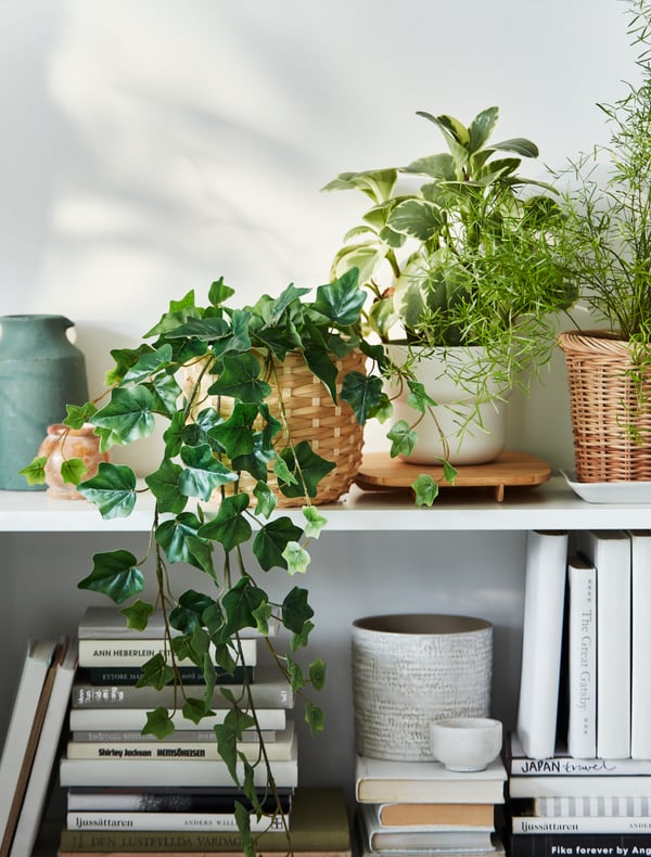 15 pots de fleurs originaux pour mettre au vert votre intérieur