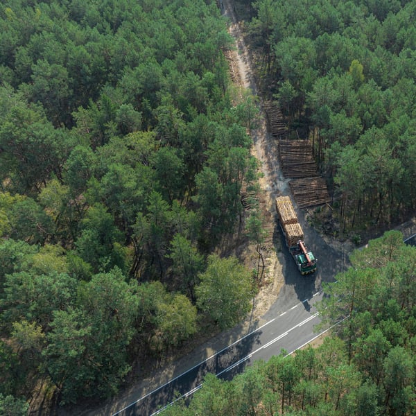 An aerial view shows a logging truck on a narrow road through a dense forest.