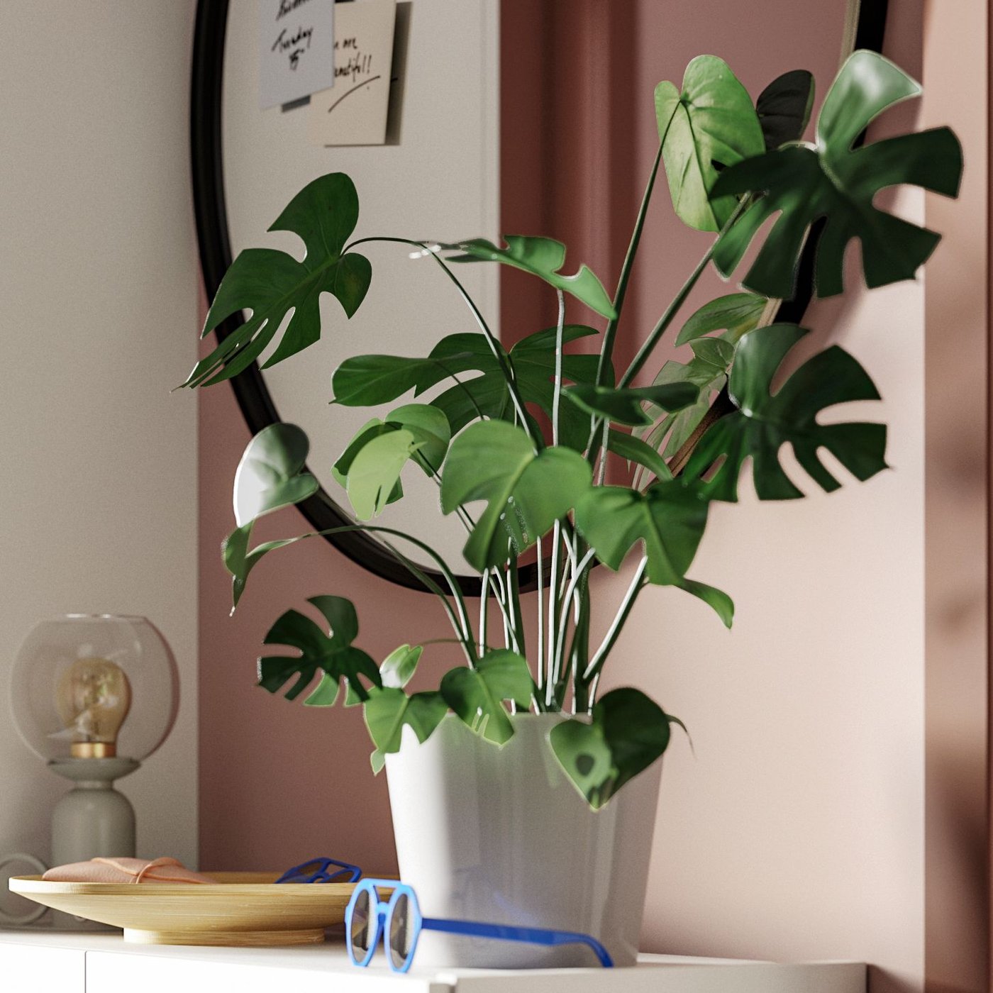 Pots and plants - IKEA