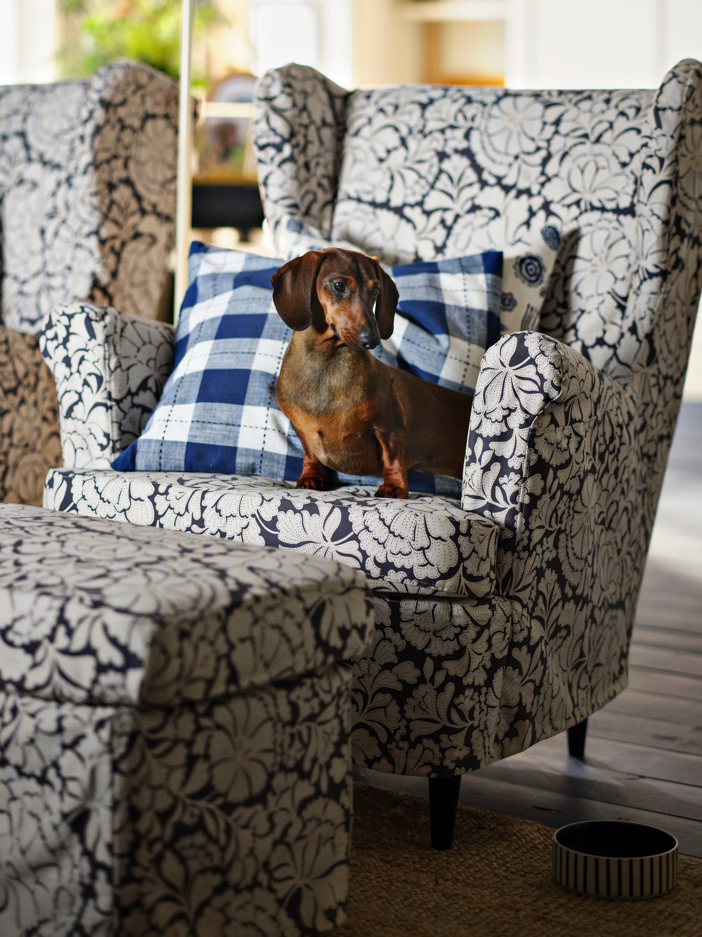 Fotel z podnóżkiem STRANDMON, na kótrym siedzi jamnik.