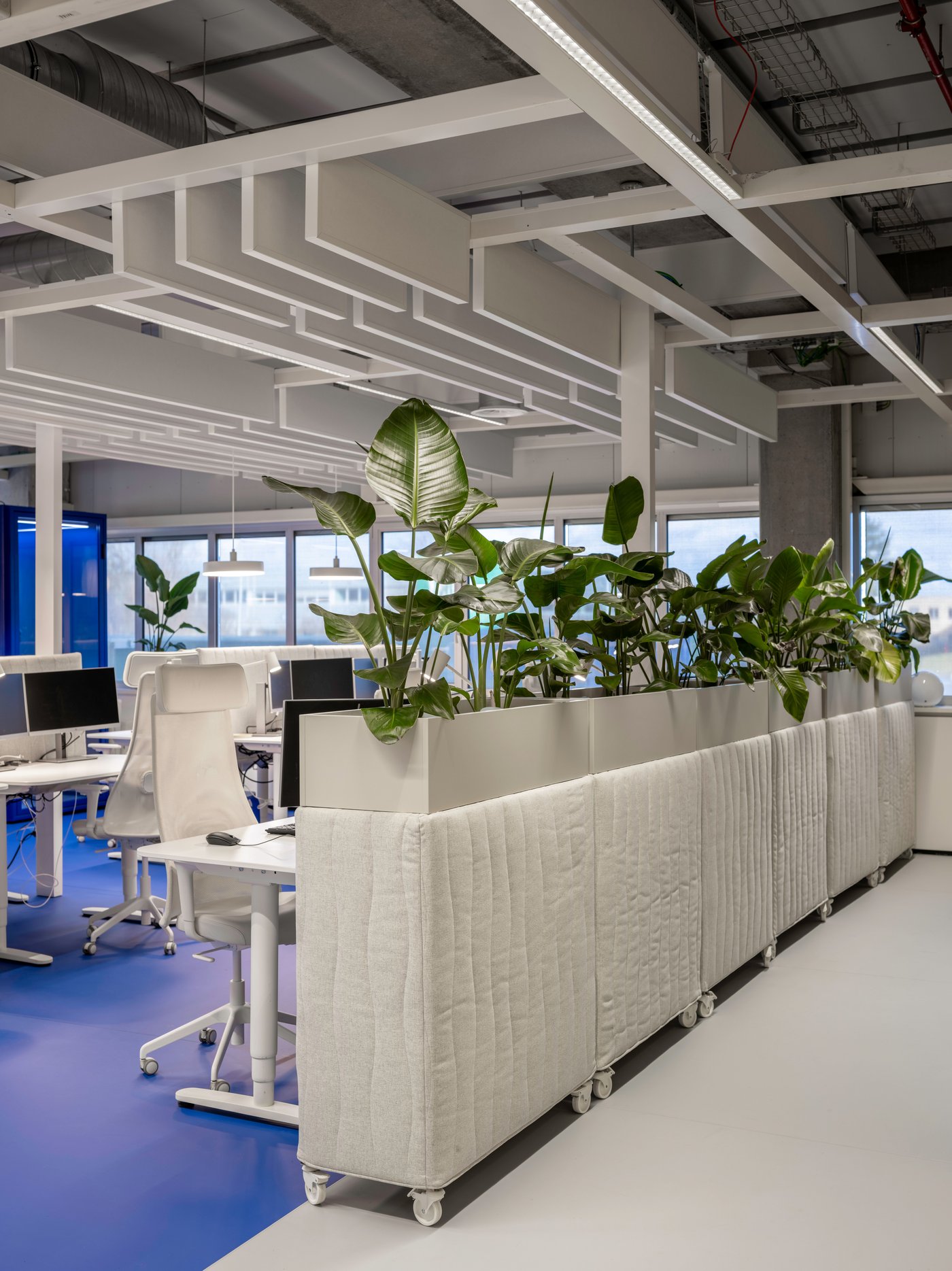 Une rangée de postes de travail IKEA blancs séparés par de grands bacs à plantes crée un espace de travail frais et verdoyant, à la fois ouvert, organisé et propice à la concentration.