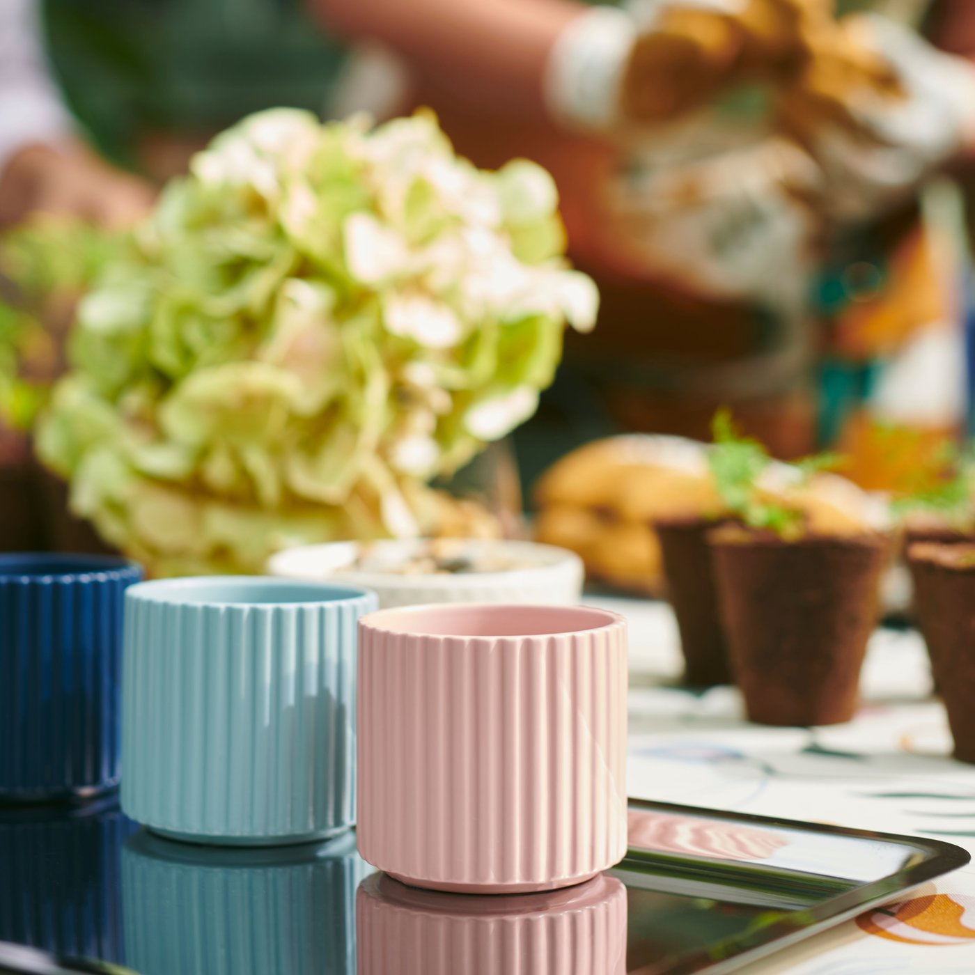 DAKSJUS mini pots on a silver tray.