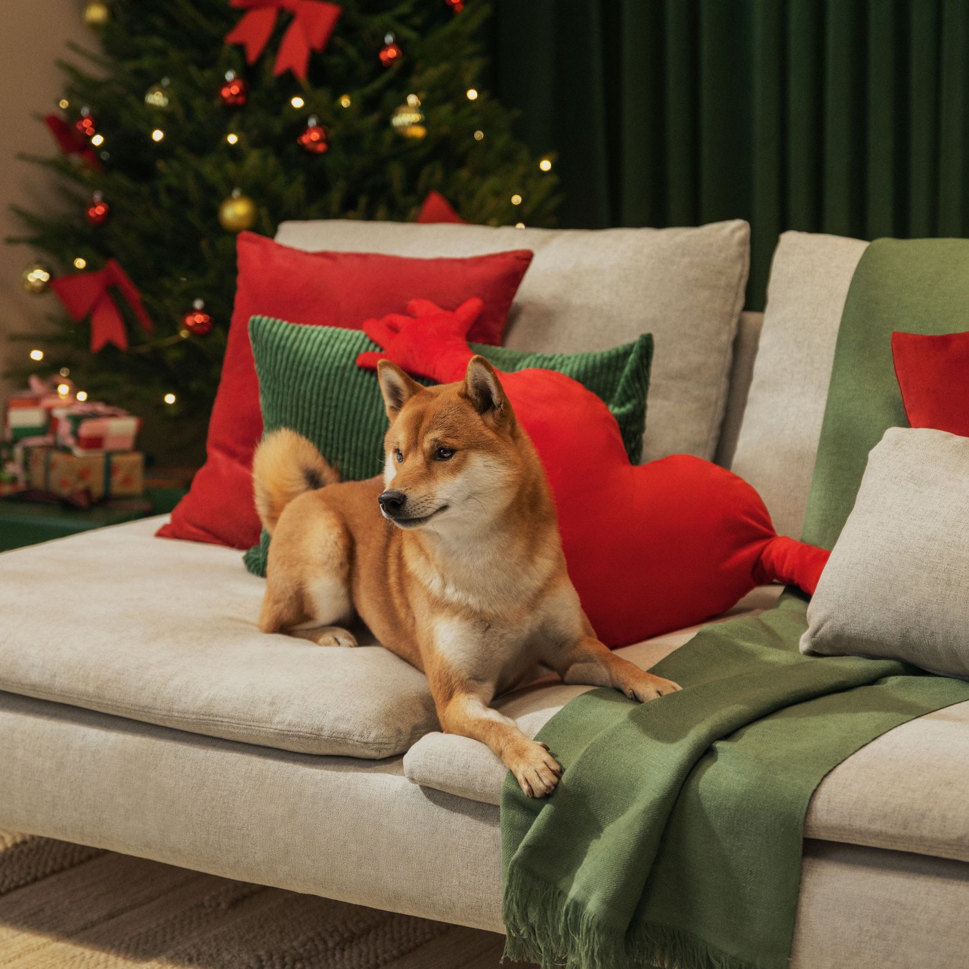 Koira loikoilee vaalealla SÖDERHAMN-sohvalla, jolla punaisia ja vihreitä koristetyynyjä. Taustalla joulukuusi.