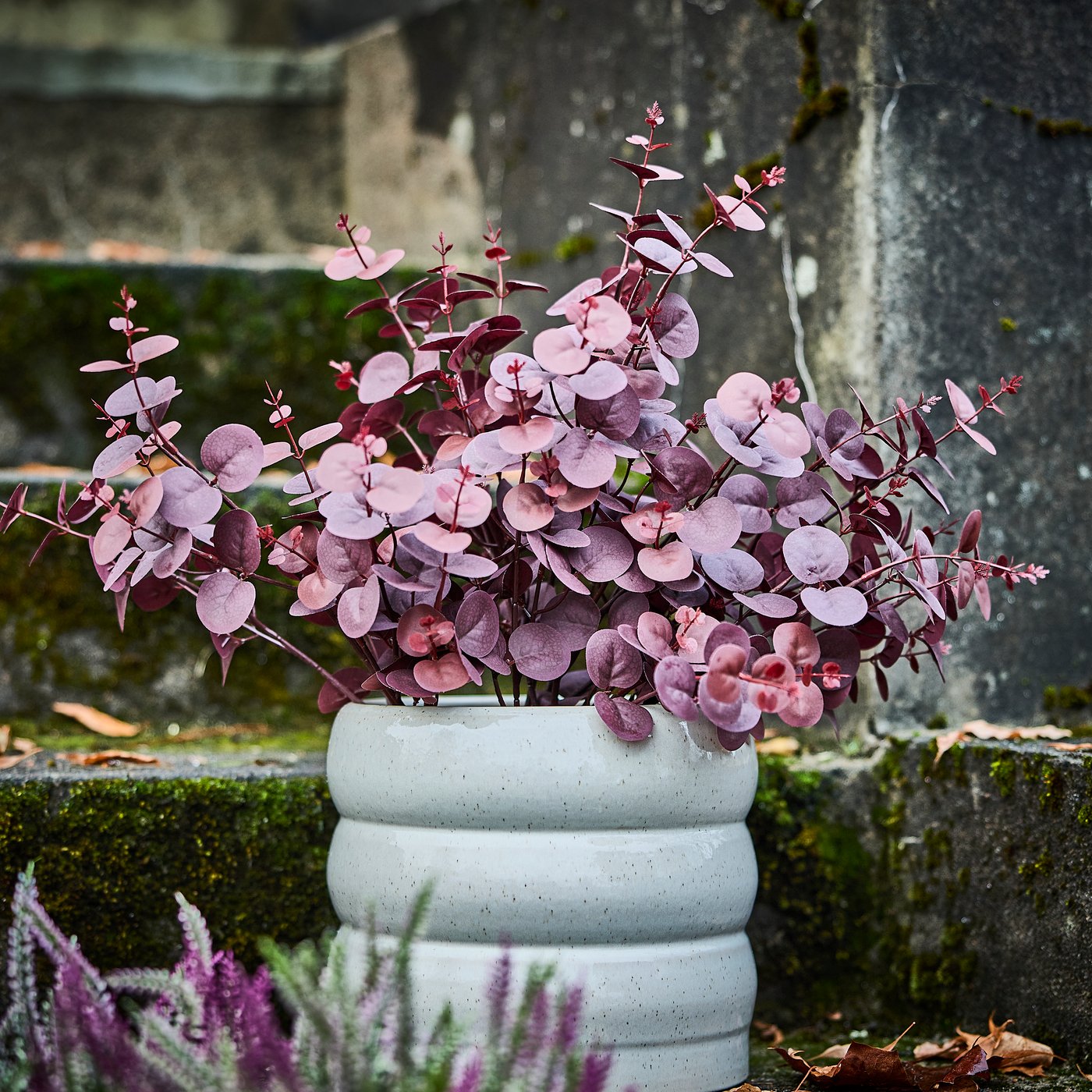 An in/outdoor/beige HASSELBUKETT plant pot outside