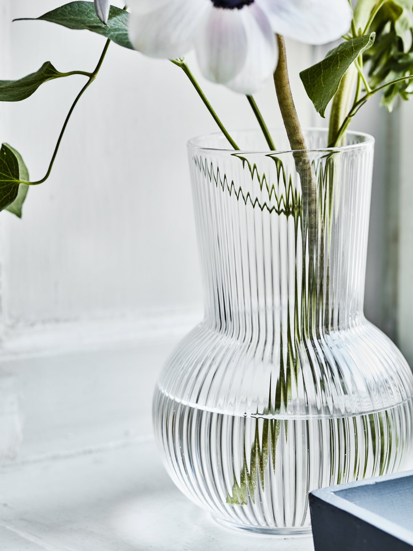 A transparent glass PÅDRAG vase with flowers