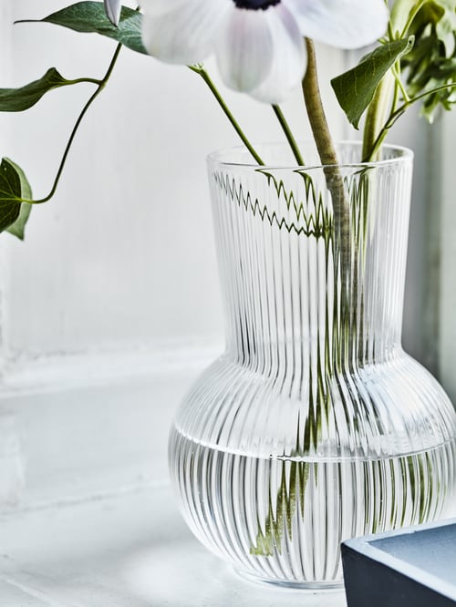 Une fleur blanche à feuilles est placée dans un vase en verre transparent PÅDRAG, posé sur un rebord de fenêtre.