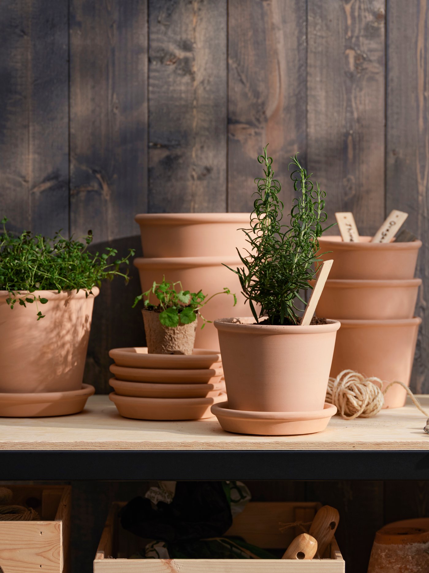 木製テーブルの上に並べられた、ハーブや植物が植えられたテラコッタ鉢と、空の鉢や受け皿、園芸用のひも。