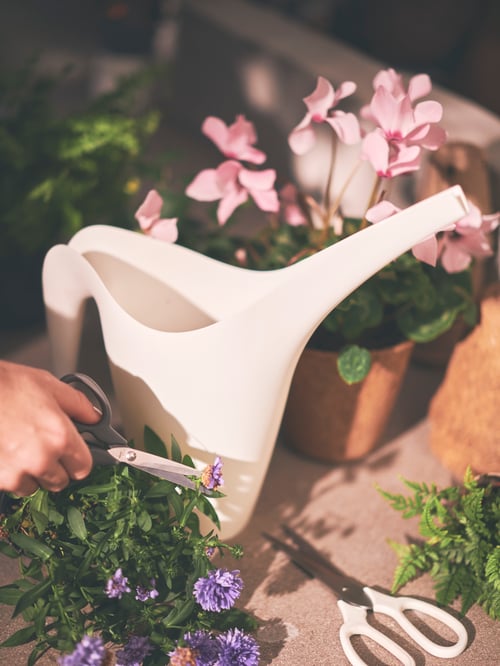 A hand holding MÄRKBART scissors prunes a plant pot standing next to a white IKEA PS 2002 watering can on a sunlit worktop.