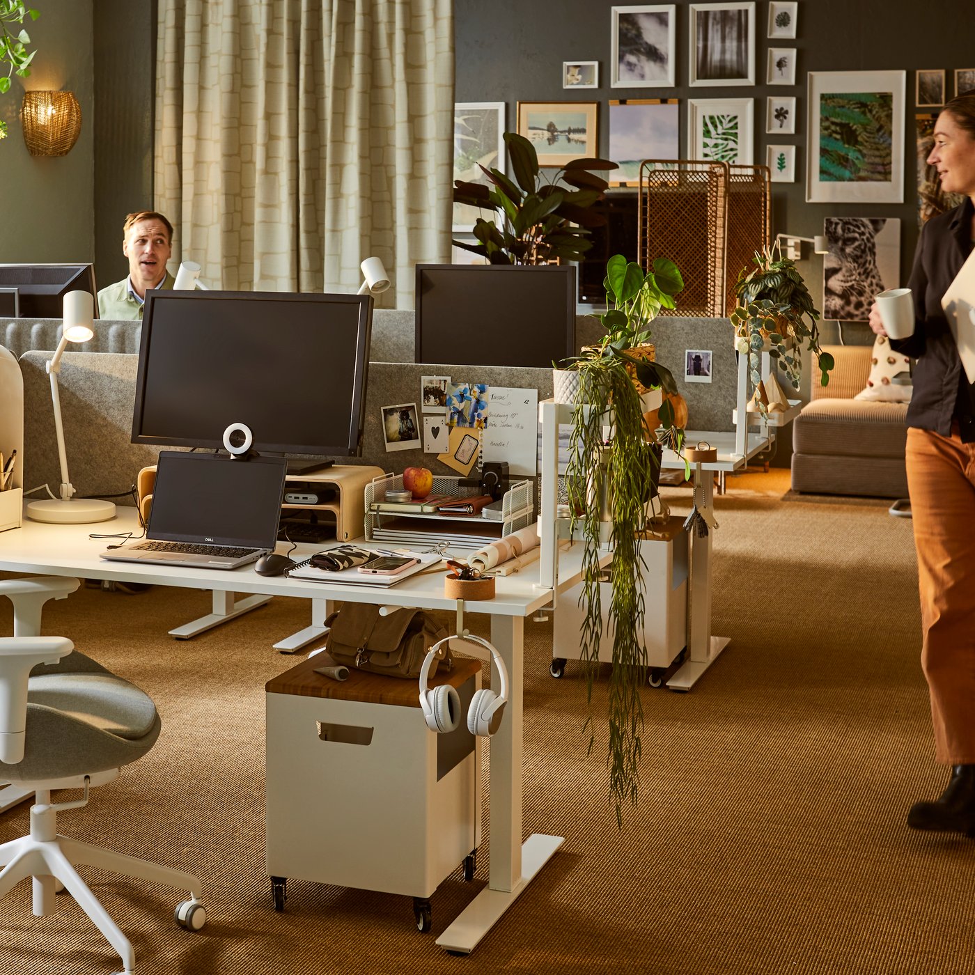 A softly sunlit office interior with several workspaces, surrounded by plenty of leafy plants, decorations and wall art.