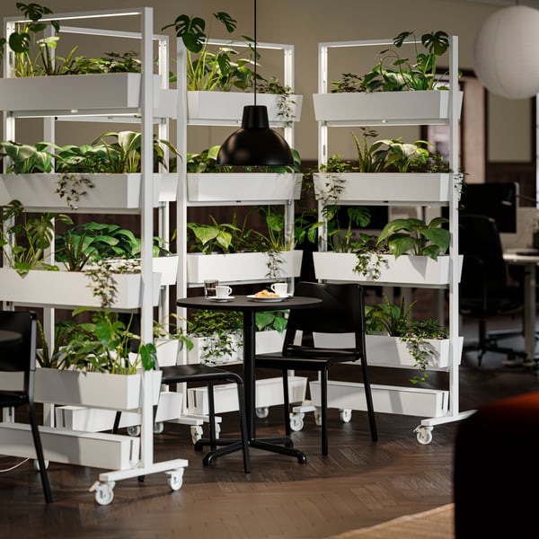 A café-style break room with MITTZON frames filled with plants, surrounded by black STENSELE tables and chairs in the centre.