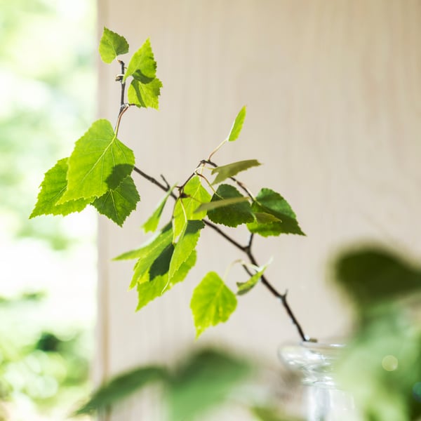 A Scandinavian Woods/white ADLAD scented candle in ceramic jar