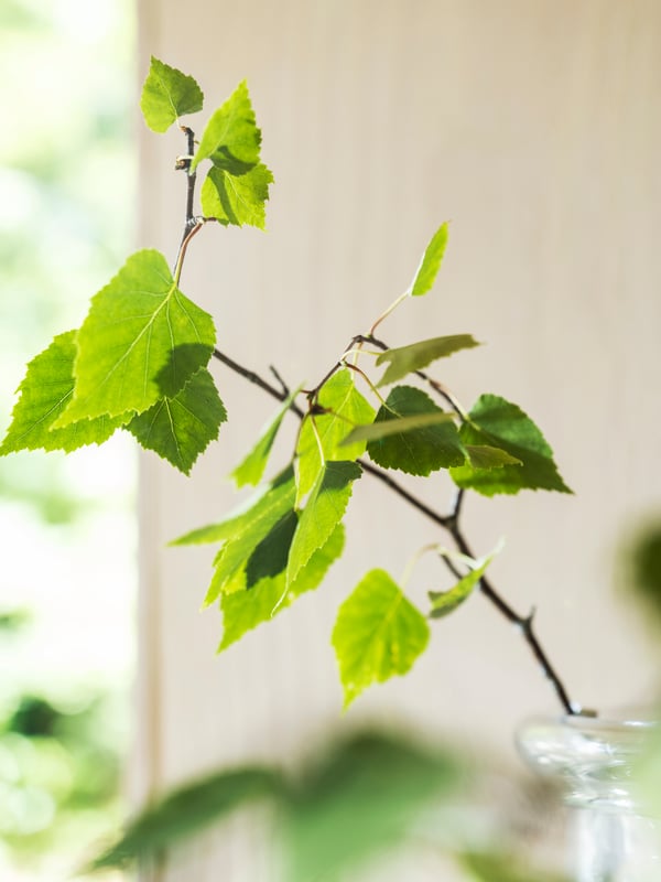 Een ADLAD geurkaars met Scandinavische hout in keramische pot.